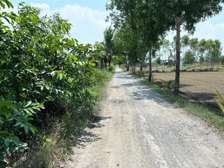 Bán đất cách thị trấn đức hoà 2km 10m x 50m giá 3.7tỷ