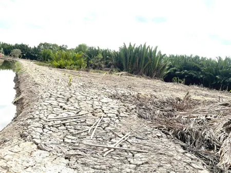 Cần bán 377m2 đất trồng cây lâu năm đường liên ấp 23, hiệp phước, nhà bè, giá 690 triệu