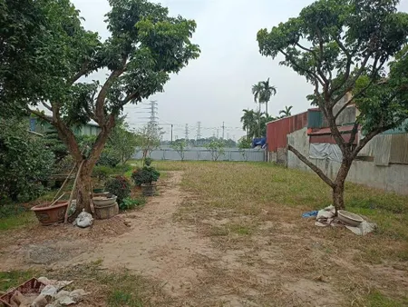 Song phương 1008m2 đất 50 năm chính chủ cần bán