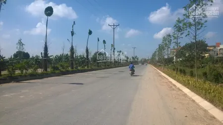 Bán đất dịch vụ nam an khánh, xã an thượng, hoài đức, hà nội diện tích 55m2 60m2 giá 130 triệu/m2