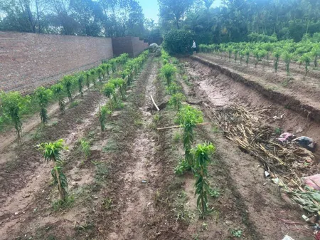 Chính chủ cần bán lô đất 270m2 đất trồng cây hàng năm. tại thôn trại gần, song phương, hoài đức