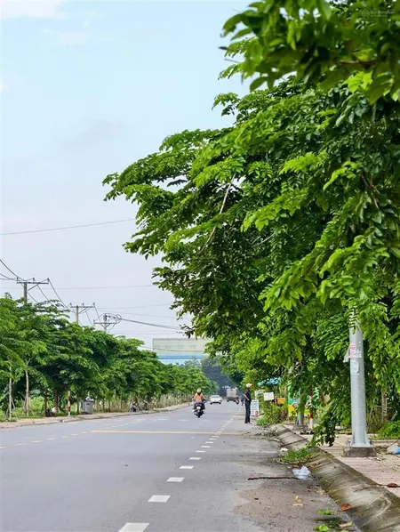 Bán đất ngay tthc trảng bom. lô 95m2 đối diện bvqt, cạnh tttm vingroup, dân cư đông đúc, shr