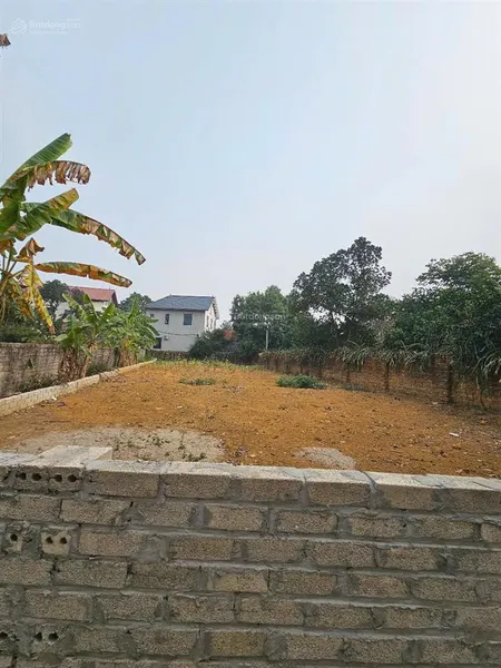 Hàng hiếm bán mảnh đất ôtô tránh thông tứ phía cần kiệm giá rẻ nhỉnh 3 tỷ 125m2