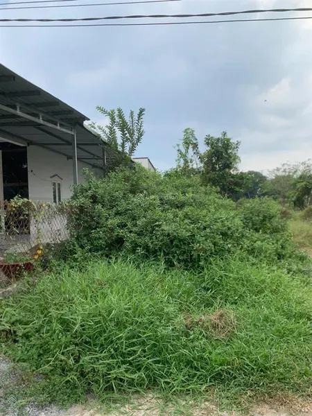 Bán đất đức hoà xã mỹ hạnh nam cách tỉnh lộ 824 300m dt 124m2 giá 880 triệu, shr, 0918 551 ***