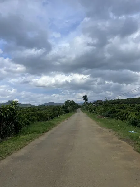 Bán đất 1000m² ngang 17.9m giá 1.8 tỷ Xã Hòa Ninh
