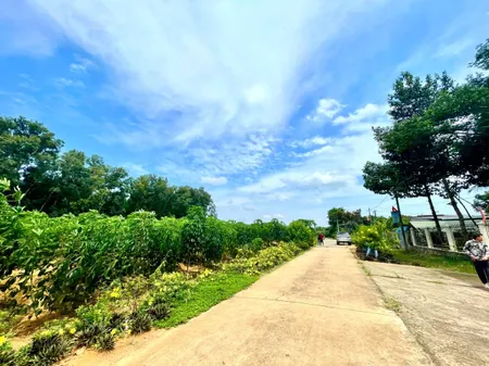 Bán 1000m đất ở Xã Tân Hiệp . Long Thành _Đồng Nai