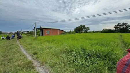 Bán đất 224.5m² ngang 8m giá 1.3 tỷ Xã Mỹ Hạnh