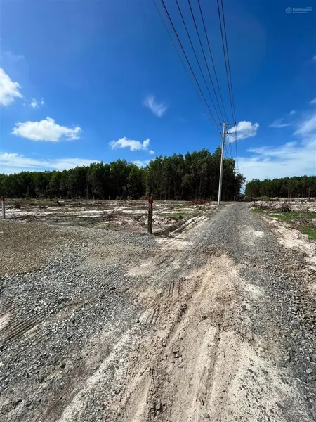 Bán đất mẫu vị trí 2 lê văn duyệt, giá 5.5 tỷ/ha, tổng 1.5 ha giá tốt đầu tư