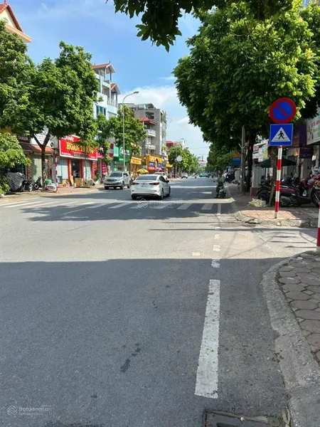 Đất hiếm ngô xuân quảng trâu quỳ, ô tô đỗ cửa giá nhỉnh 4 tỷ