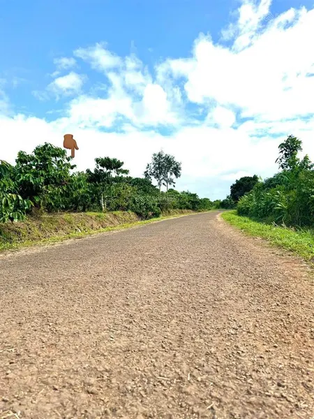 120m mặt tiền nhựa liên xã khủng 120m giá rẻ nhất khu vực 599tr dt 3546m2