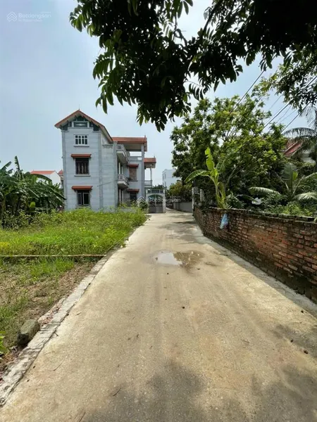 46,5m 3,15 tỷ đất vuông vắn phụng châu gần trường đại học tdtt