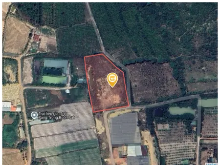 Bán đất 8176m² ngang 80m giá 1.04 tỷ Xã Ea Na