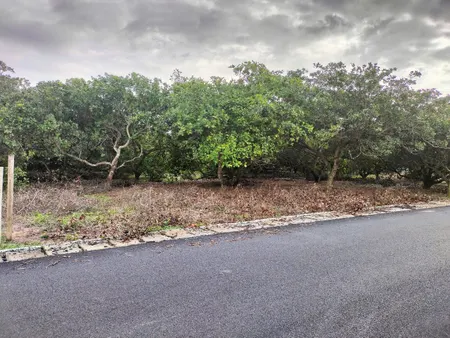 Bán đất 2786.5m² ngang 44m giá 5 tỷ Xã Hồ Tràm xuyên mộc