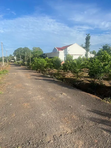 Bán đất 1125,8m² ngang 15m giá 1.35 tỷ Xã Hòa Hiệp Xuyên mộc