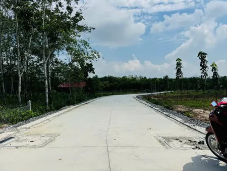 Bán đất thổ cư đường bê tông giá tốt. Đường trung lập