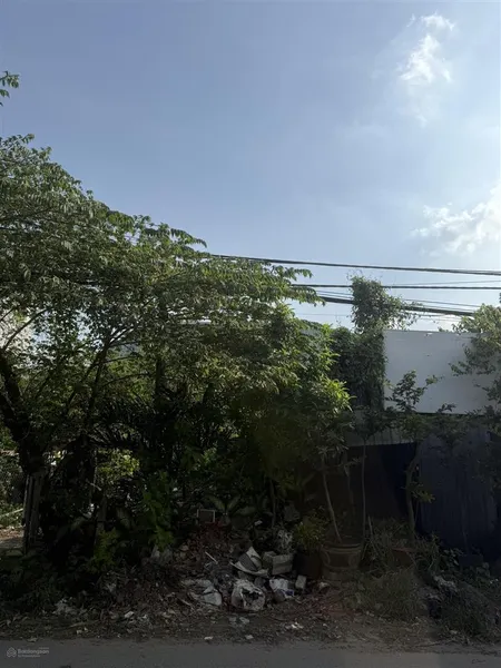 Mặt tiền bưng ông thoàn, sát villa park, quy hoạch 30m, chờ thông liên phường ra an phú an khánh