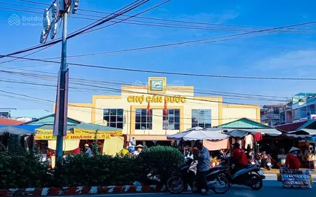 Mua đất trung tâm cần đước sổ sẵn, thổ cư, mặt tiền đẹp giá chỉ từ 950 triệu