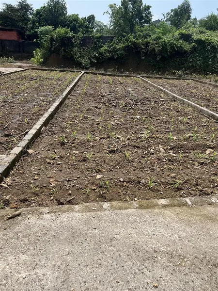 Bán đất tại xã an phú, 780 triệu, 91m2, mặt tiền 4.75m, ngõ rộng 5m