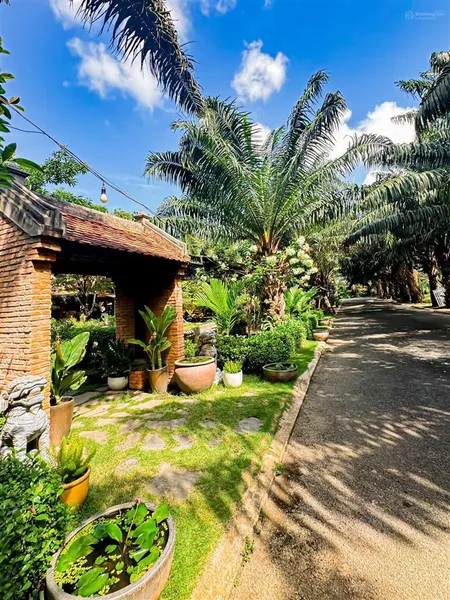 Đất siêu hiếm võng thị 186m2 mặt tiền 12m giá đầu tư