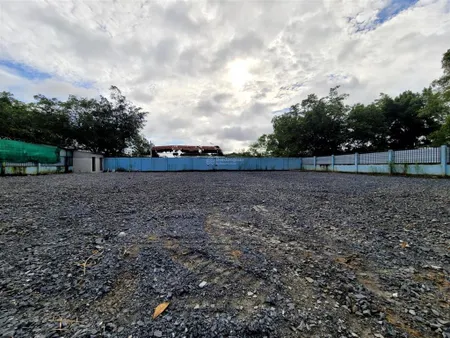 Bán cn 1000m2 đường xe tải, đất trồng cây lâu năm tại phú xuân nhà bè