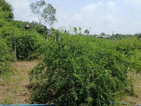 Bán đất 3314.1m² giá 2.2 tỷ Xã Xuân Hòa