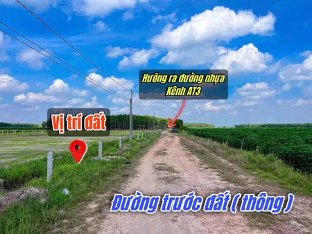 Bán đất thổ cư 243m² ngang 5m giá 199 triệu Xã Long Chữ
