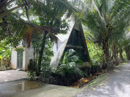 Bán 3,027m2 đất vườn dừa, gần sông, gần bến phà, giá chỉ 479tr/ công. cách tphcm chỉ 75km