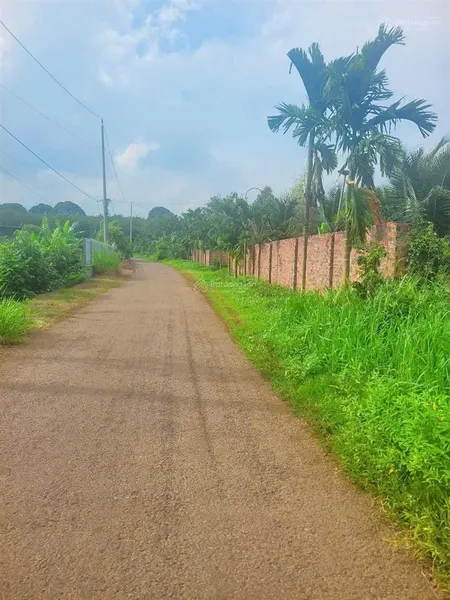 Lô đất lớn 12815m2 mặt tiền đường nhựa đến 38m, gần hồ đá bàng, thích hợp làm nhà vườn, du lịch