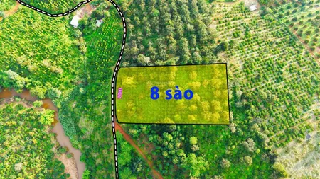 Đất rẫy 8 sào giá chỉ 900tr tại gia nghĩa