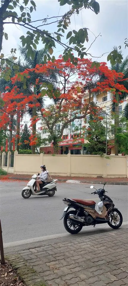 Bán đất tại khu đấu giá tứ hiệp với 95m2 giá 18 tỷ đồng. xin lộc 0962 658 ***
