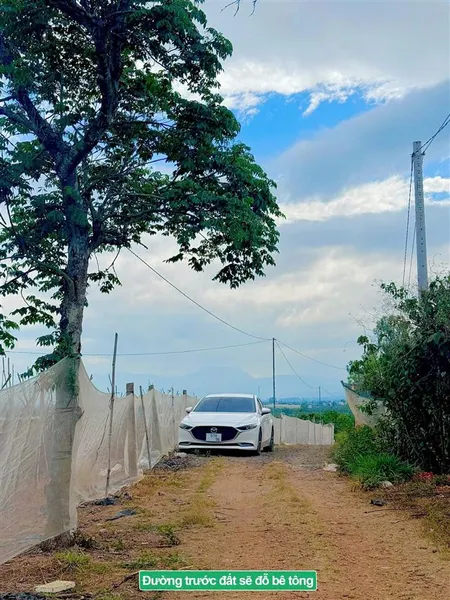 249 triệu đất thổ cư tân văn, lâm hà, lâm đồng. dt 147m2 (5x31m)