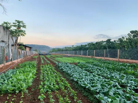 Bán 1,690m2 sẵn 400m thổ cư đất bình thạnh đức trọng, cách ql27 chỉ 400m, đường bê tông