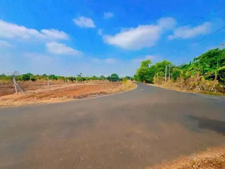 Bán vườn xoài lộc khánh, lộc ninh, bình phước, giá chỉ 1,45 tỷ, 0898 847 ***