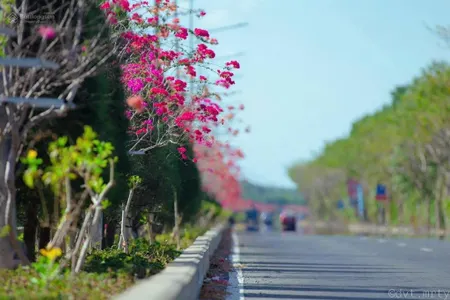 Bán đất siêu hot tại đường tam thôn hiệp, cần giờ, hồ chí minh, 6,2 tỷ, 1000m2