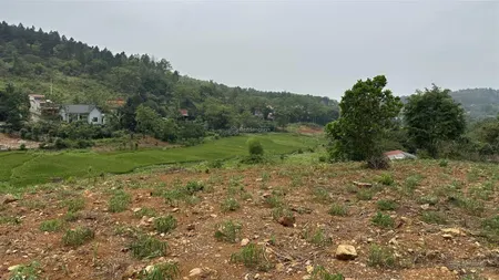 Cần bán 1589m2, mt 25m, 100m2 thổ cư trục chính liên thôn tại khánh thượng, ba vì, hà nội