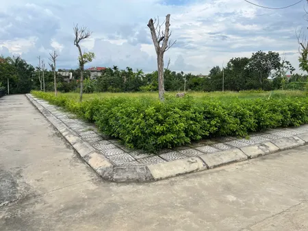 😱 Shock! Đất vàng trao tay nhận ngay ưu đãi chỉ với 1 tỷ tại Đông Triều