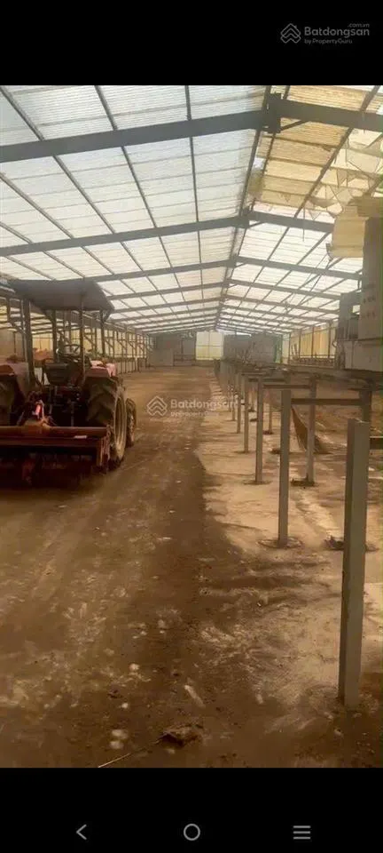 Bán nhà xưởng sản xuất xã sông thao, trảng bom, đồng nai, hơn 14.000m2
