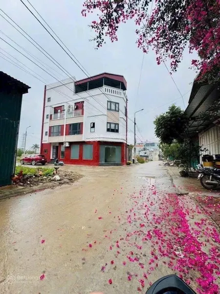 Bán đất đấu giá x2 la tinh đông la giá 137tr/m. 0983 477 ***