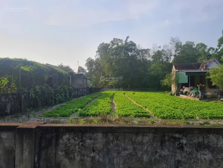 Đất nhà vườn, đồng tiến, xã đồng tiến, tỉnh hà tĩnh
