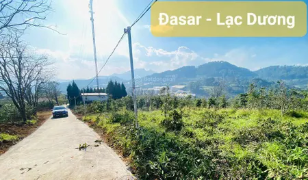 Cần tiền gấp nên bán lỗ nặng lô 20x46m, 920m2 giá 300triệu đất thổ cư. cách 10km đến đà lạt