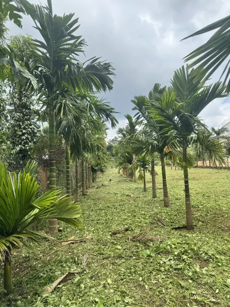 Bán đất 7351m² ngang 14.1m giá 2.7 tỷ Xã Ea Ktur