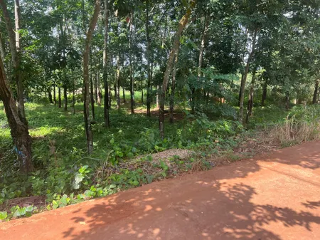 Bán đất 5354.9m² ngang 20m giá 3.3 tỷ Phường Bình Long
