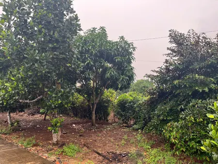 Bán đất 6596.8m² ngang 55m giá 5.7 tỷ Xã Bàu Lâm Xuyên mộc