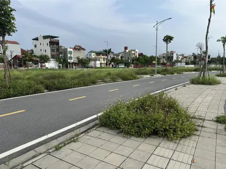 Bán mảnh đất 115m2 khu đấu giá tây bắc, lễ pháp, tiên dương, đông anh, hà nội