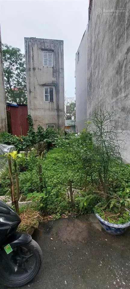 Chính chủ bán đất đồng mai gần bến xe yên nghĩadịch vụ đồng mai 57m2 gần ô tô tránh hơn 3 tỷ