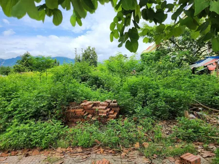 Bán đất tại tổ dân phố 3