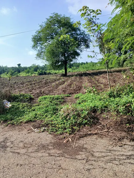 Bán đất 3.080m² ngang 28.3m giá 3.5 tỷ Phường Tân Thành