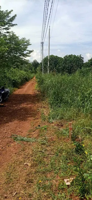 Bán đất 162.8m² ngang 5.5m giá 900 triệu Xã La Ngà
