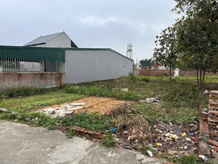 Bán đất 103m² ngang 5,2m giá 1.63 tỷ Xã Kim Anh
