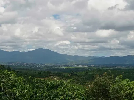 Bán gấp đất nền 4000m2 tại tân châu, di linh, lâm đồng, giá 1,65 tỷ